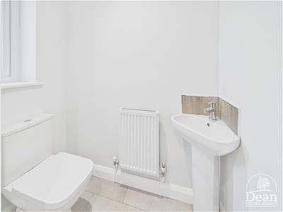 Picture 13
